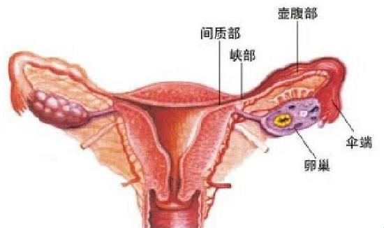上海正规助孕哪家好_如果我想怀孕，我需要了解我的前世。