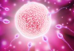 宜春供卵机构生子流程-胚胎16三体是精子问题吗？我应该怎么做？