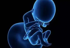 <strong>漳州助孕龙凤胎qq群-胎儿停育后更容易怀孕是有科学依据的</strong>