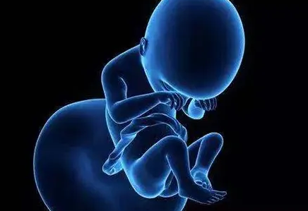 漳州助孕龙凤胎qq群-胎儿停育后更容易怀孕是有科学依据的